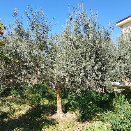 A Casa Mia Vakantiehuis Butera
